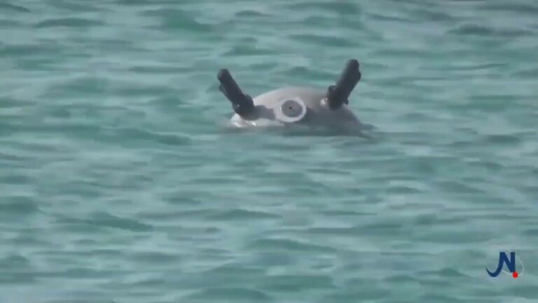 Un bateau de pêche égyptien a été touché par une mine navale iranienne à Bab Almandav