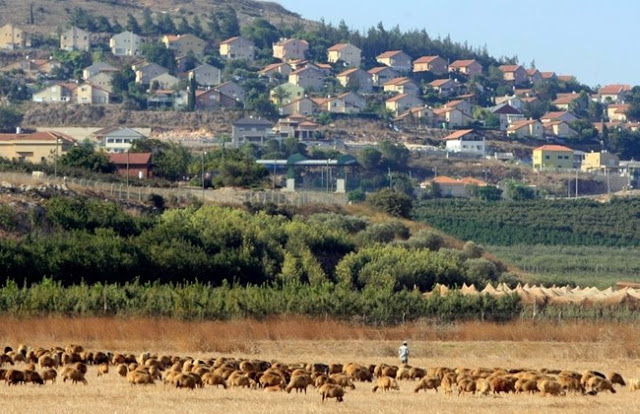 Incident international: le Liban prétend à tort qu’Israël a volé sept vaches