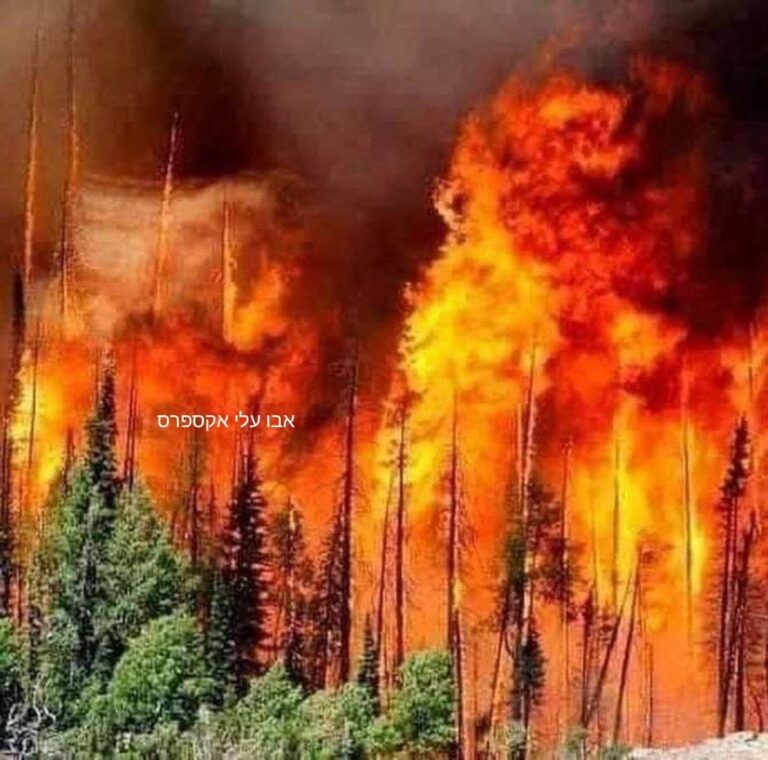 L’enfer | La Turquie fait face aux inondations apres les incendies, suivi des pogroms et des pillages !