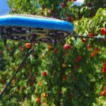 Une entreprise israélienne développe des drones pour la récolte de fruits