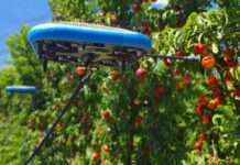 Une entreprise israélienne développe des drones pour la récolte de fruits