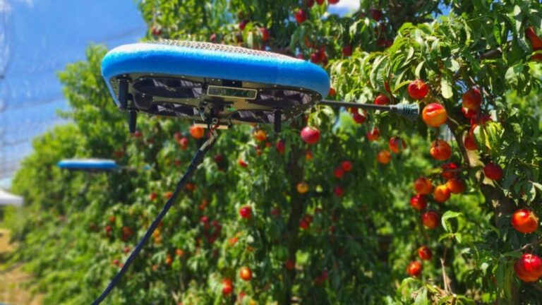 Une entreprise israélienne développe des drones pour la récolte de fruits