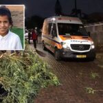 « Priez pour mon fils » : le cri désespéré du père dont le fils a été blessé par la chute d’un arbre dans la tempête